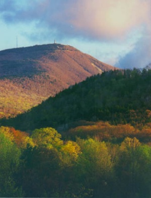 Artist Like Hills